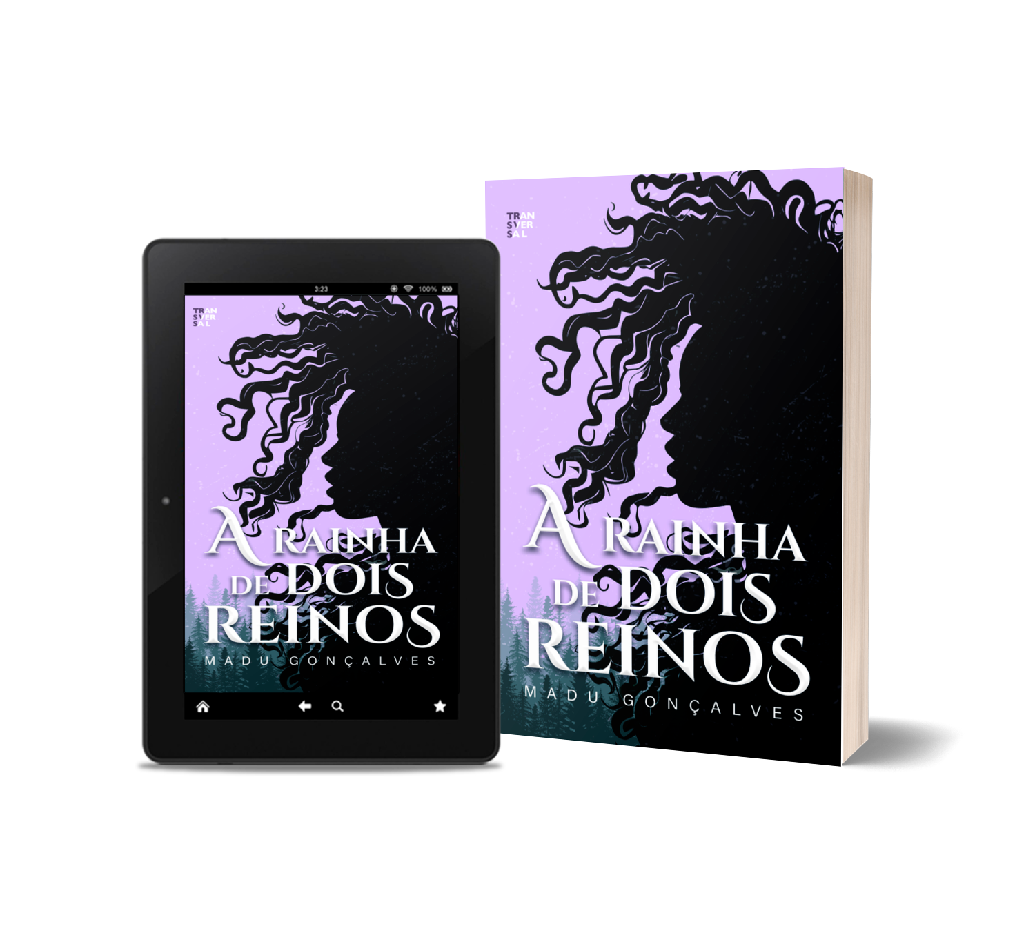 capa do livro em versão física e ebook